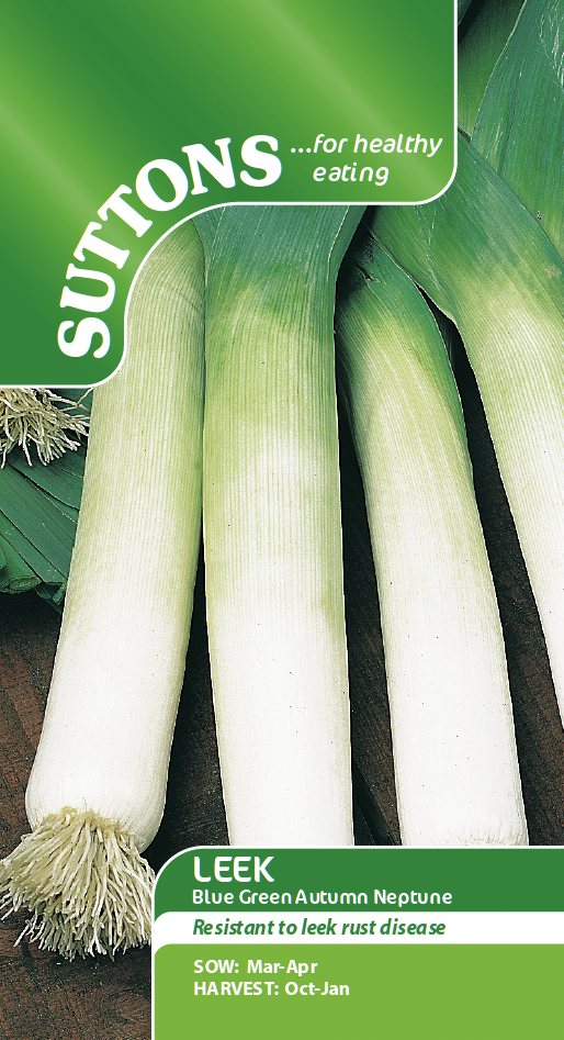 SUTTONS Leek Blue Green Autumn Neptune Seeds Suttons Seeds Mole Avon