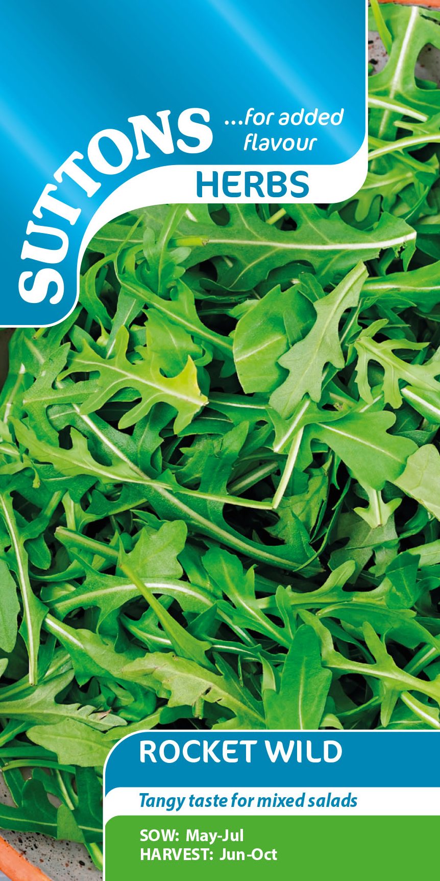 Wild Rocket Rice SUTTONS Suttons Wild Rocket Seeds - Salad