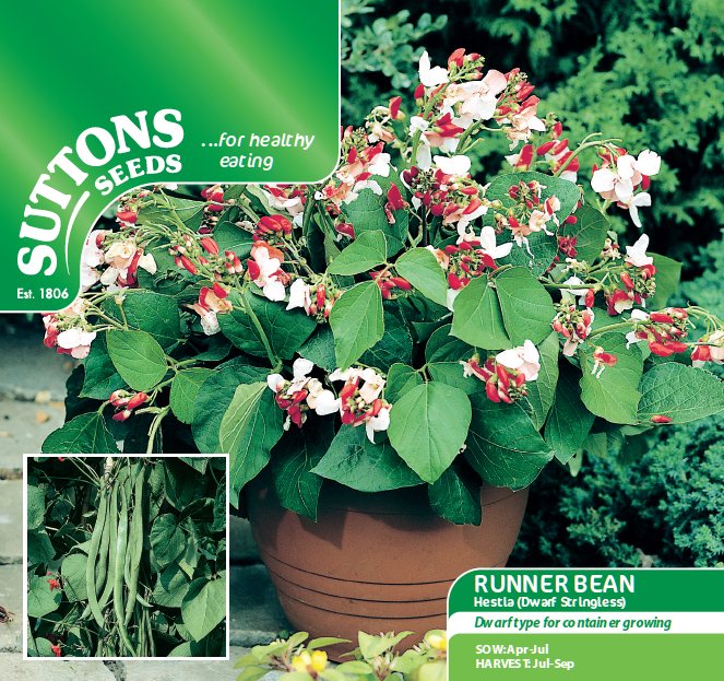 SUTTONS Runner Bean Seeds Hestia Seeds Beans & Peas Mole Avon