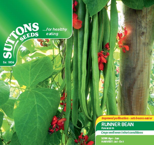 SUTTONS Runner Bean Firestorm Seeds Beans & Peas Mole Avon