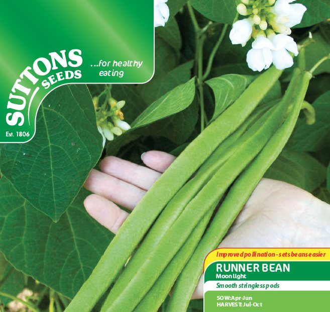 SUTTONS Runner Bean Moonlight Seeds Beans & Peas Mole Avon