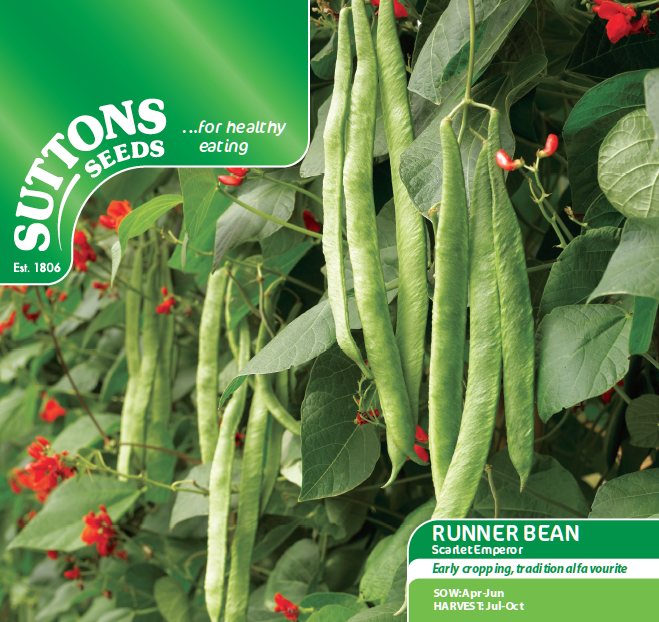 SUTTONS Runner Bean Scarlet Emperor Seeds Beans & Peas Mole Avon