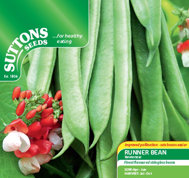 SUTTONS Runner Bean Tenderstar Seeds Beans & Peas Mole Avon