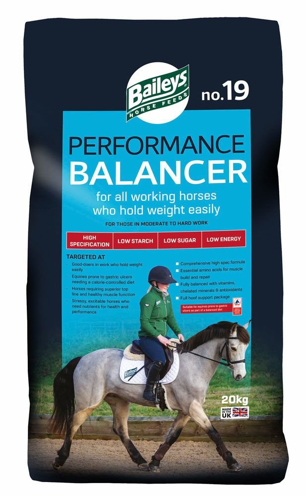 Baileys Horse Feeds Baileys No.19 Performance Balancer 20kg Feed