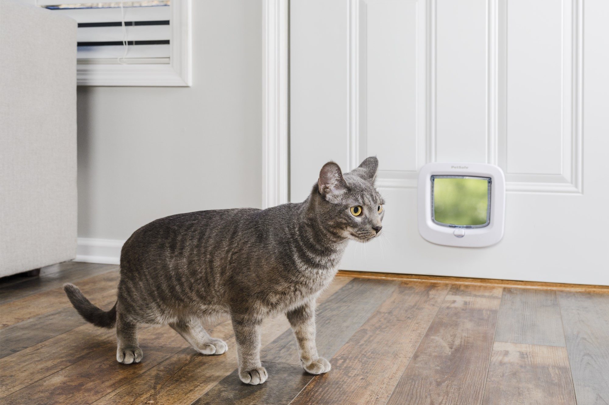 petsafe staywell deluxe cat flap