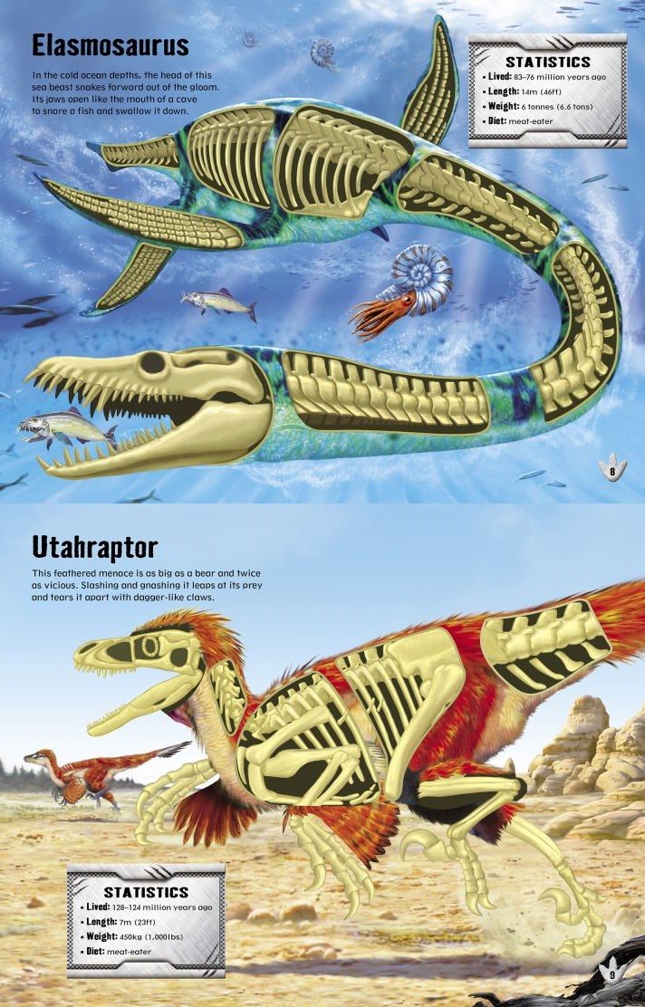 USBORNE Usborne Build Your Own Dinosaurs Sticker Book Books Mole Avon