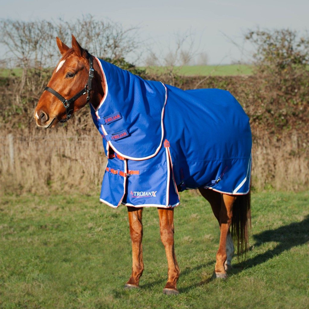 Trojan Xtra 200 Dual Turnout Rug With Neck Horse Rugs Mole Avon