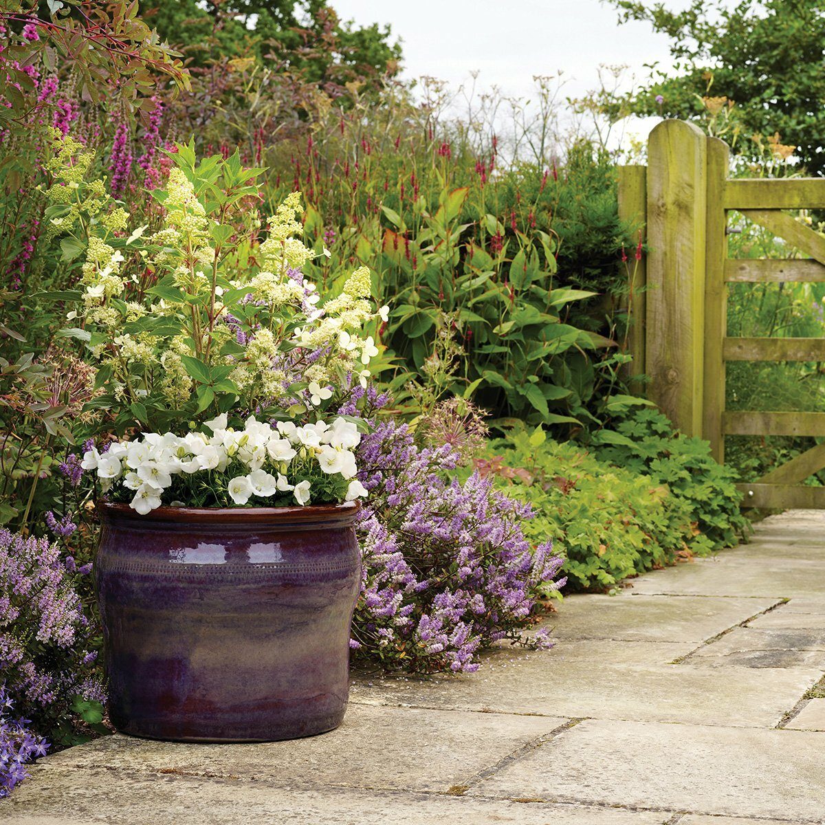 Apta Balmoral Cyclinder Pot Decorative Planters Mole Avon