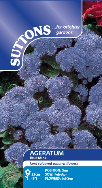 SUTTONS Suttons Ageratum Blue Mink Seeds - Spring/Summer Flowers