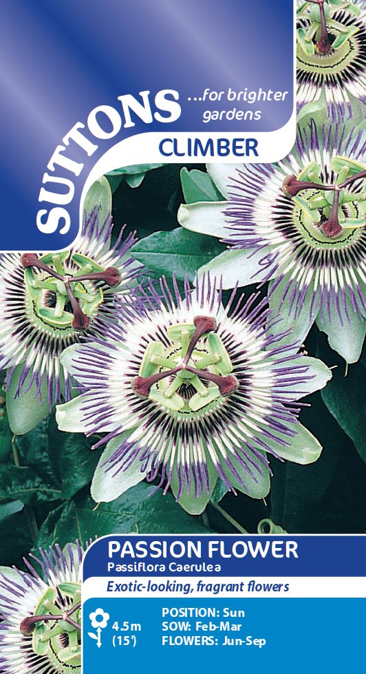 SUTTONS Suttons Passion Flower Caerulea Seed Spring/Summer Flowers