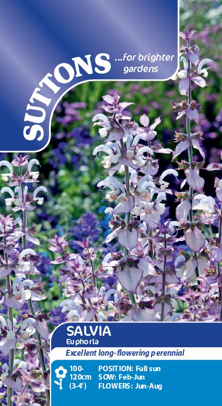 SUTTONS Suttons Salvia Euphoria Seeds Spring/Summer Flowers
