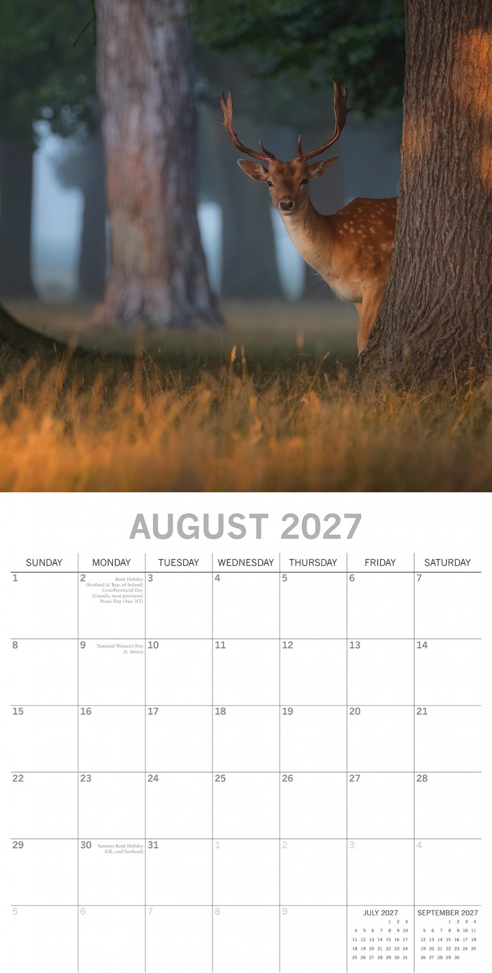 Hunter Calendar Fall 2027