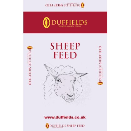 Sheep Feed