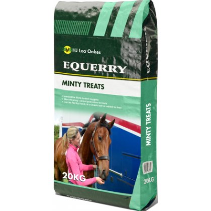 Horse Treats & Licks