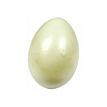 Egg Trays & Faux Eggs