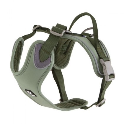 Harnesses