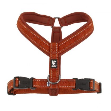 Harnesses