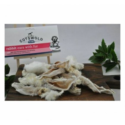 Bones & Appendages