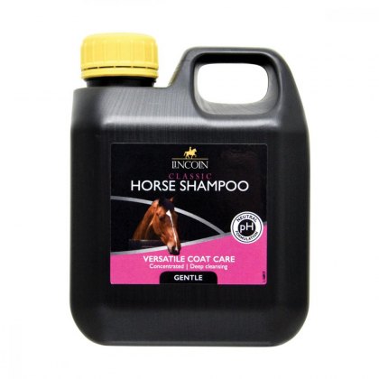 Shampoo & Body Wash