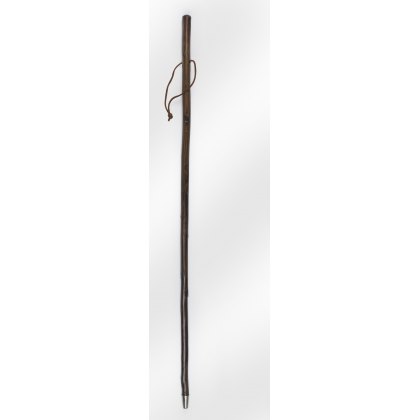 Canes & Walking Sticks