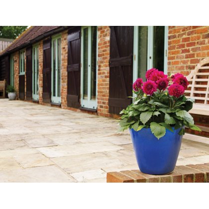 Outdoor Pots