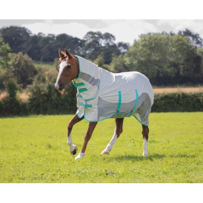 Horse & Pony Rugs