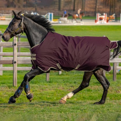 Horse & Pony Rugs