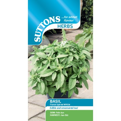 Herbs