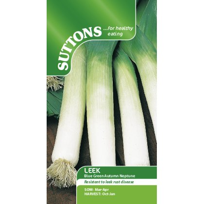 Leeks & Onions