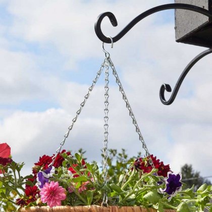 Hanging Baskets