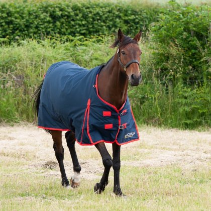 Gallop Equestrian Gallop Gallop