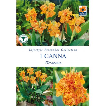 Spring/Summer Flowers