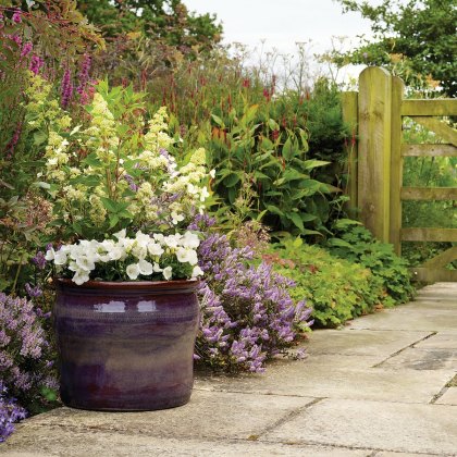 Decorative Planters