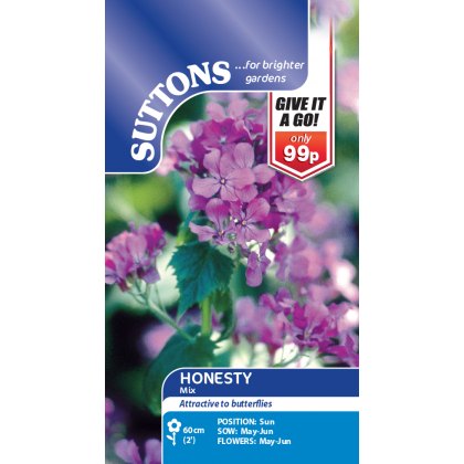 Spring/Summer Flowers