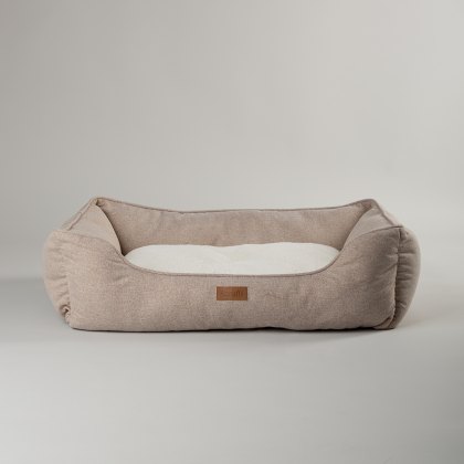 Box & Sofa Beds