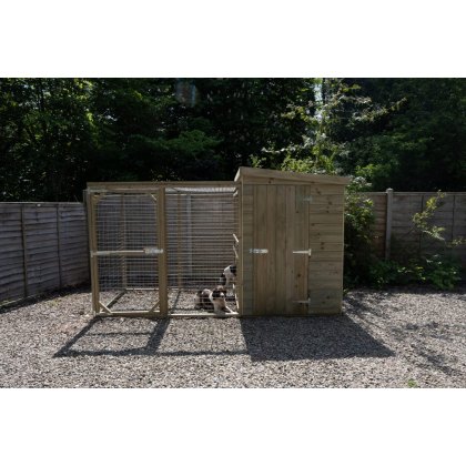 Dog Kennels & Plastic Beds