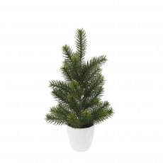 Apac Pine Tree In Pot 38cm