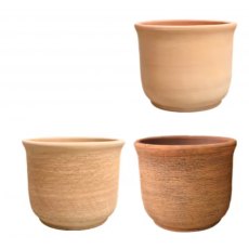 Woodlodge Vostro Pot Assorted