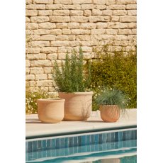 Woodlodge Vostro Pot Assorted