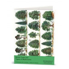 Museums & Galleries Notecard 8 Pack