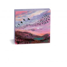 Coast & Country Red Sky At Night Card 8 Pack