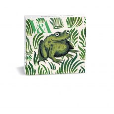 V&A Frog Tile Card 8 Pack