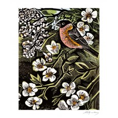 Angela Harding Blossomise Card
