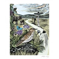 Angela Harding The Common Card