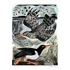 Angela Harding Redshank & Oystercatch Card