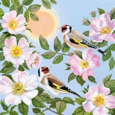 Coast & Country Wild Roses & Goldfinches Card Coast & Country Wild Roses & Goldfinches Card