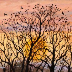 Coast & Country Rooks At Sundown Card Coast & Country Rooks At Sundown Card