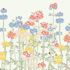 Emily Burningham Primulas Card