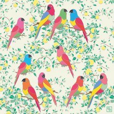 Emily Burningham Parrots Card