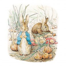 Peter Rabbit & Benjamin Bunny Card Peter Rabbit & Benjamin Bunny Card